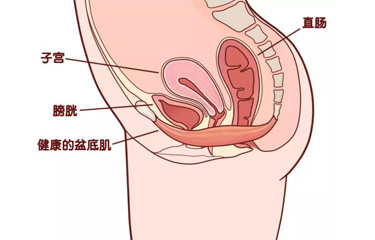 月子會(huì)所盆底肌儀器有用嗎？選擇月子會(huì)所有什么好處？