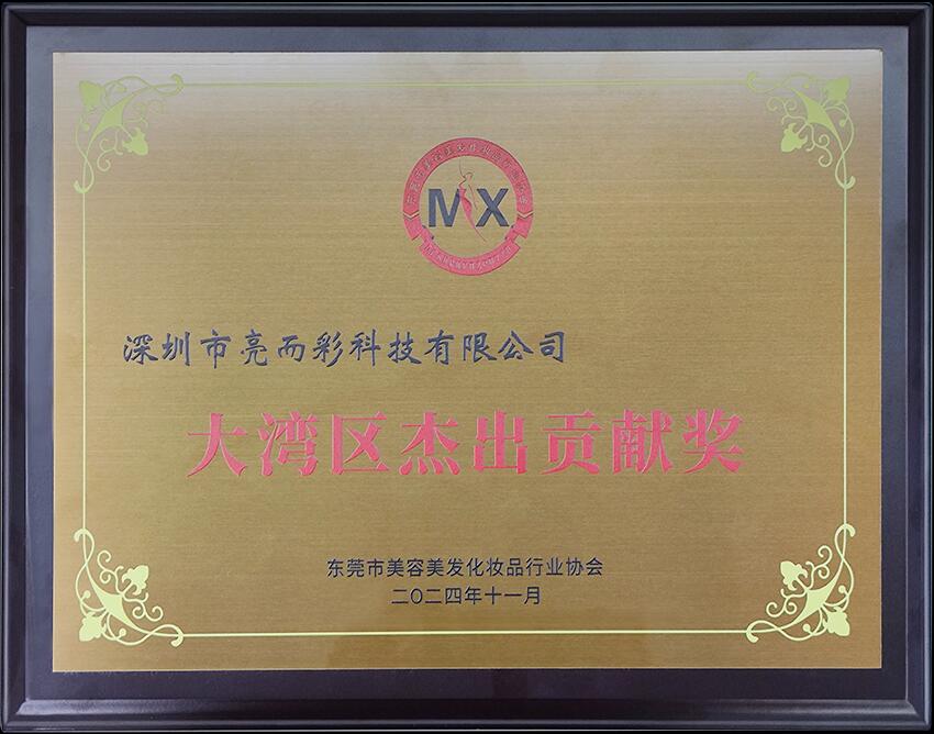 2024大灣區(qū)杰出貢獻(xiàn)獎(jiǎng)